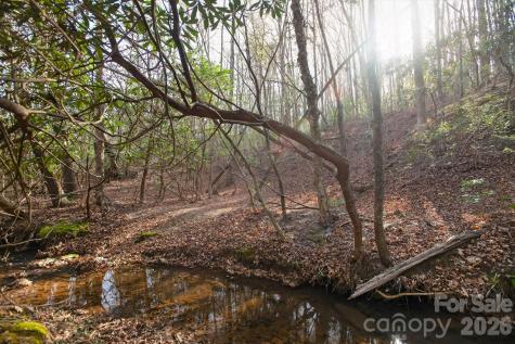 Lot 62 Dirksen Avenue Nebo NC 28655