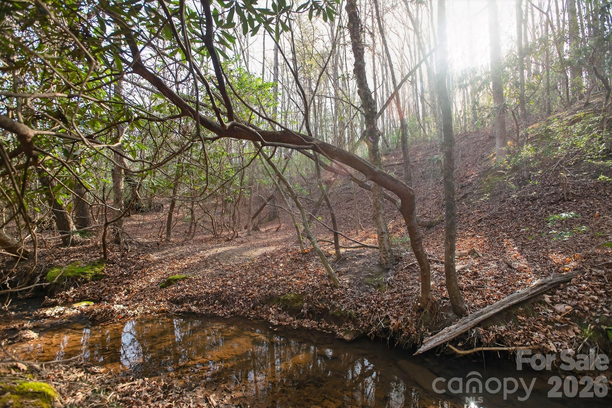 Lot 62 Dirksen Avenue Nebo NC 28655
