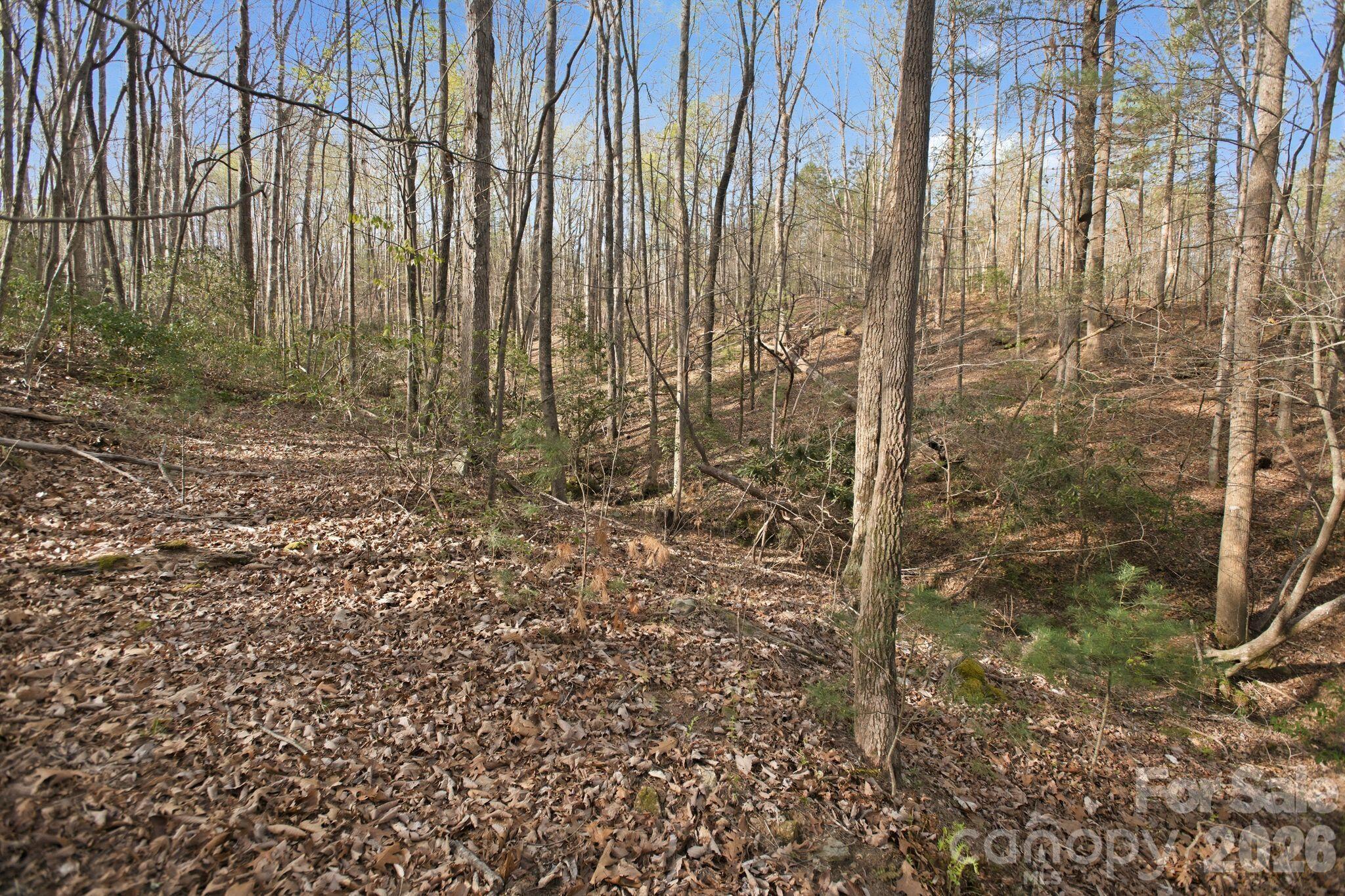 Lot 62 Dirksen Avenue Nebo NC 28655
