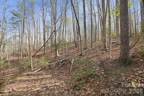 Lot 62 Dirksen Avenue Nebo NC 28655