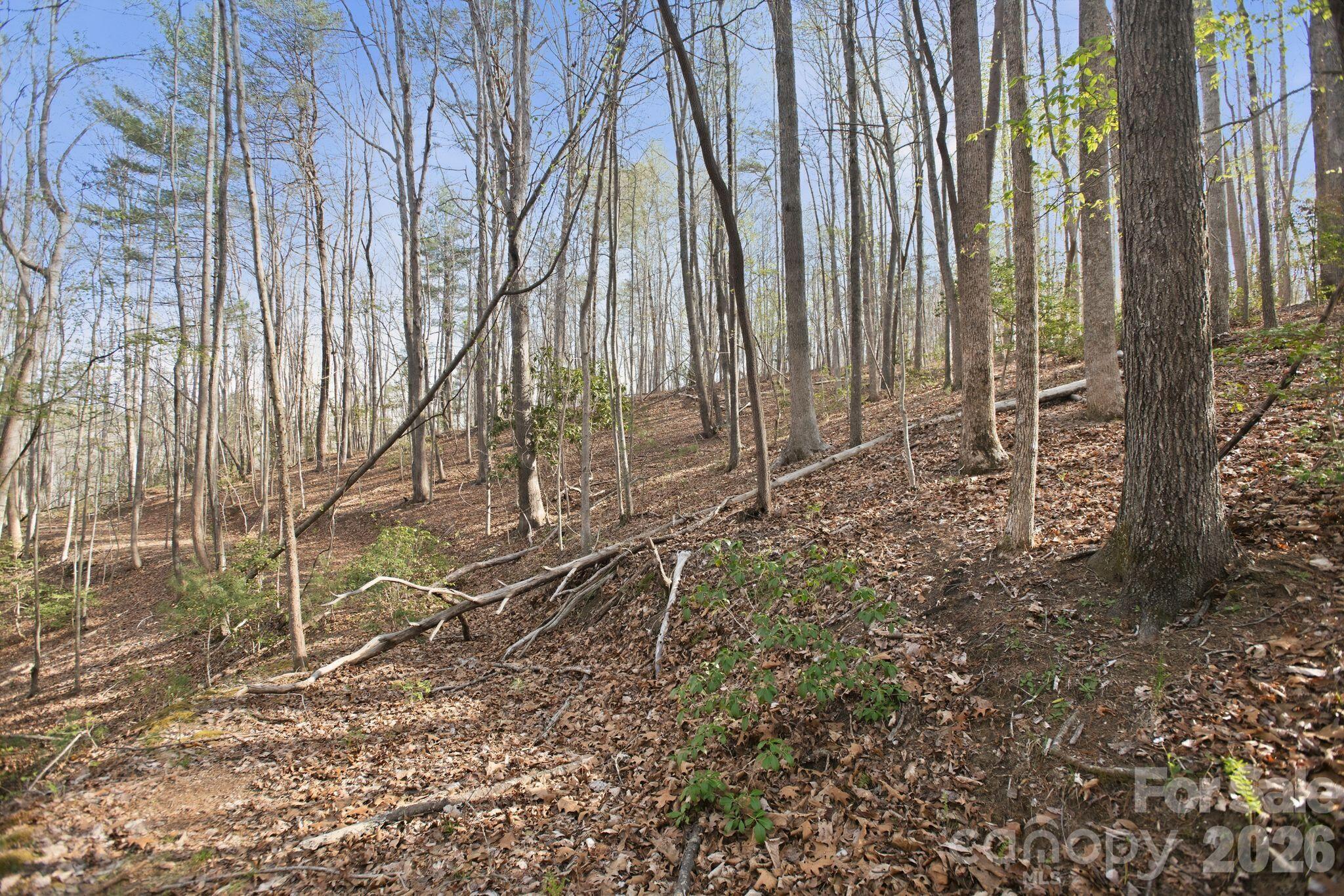 Lot 62 Dirksen Avenue Nebo NC 28655