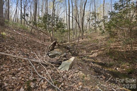 Lot 62 Dirksen Avenue Nebo NC 28655