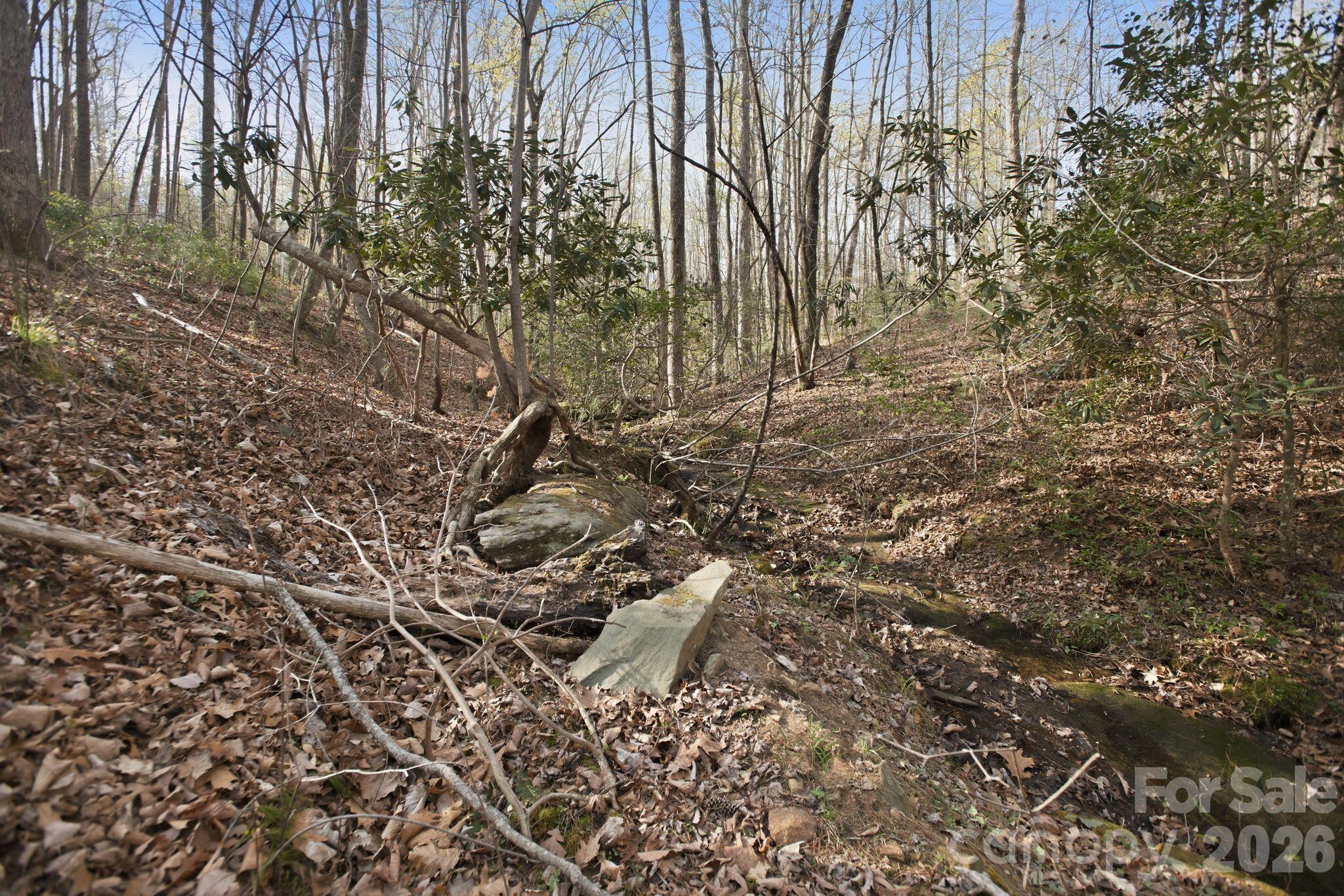 Lot 62 Dirksen Avenue Nebo NC 28655