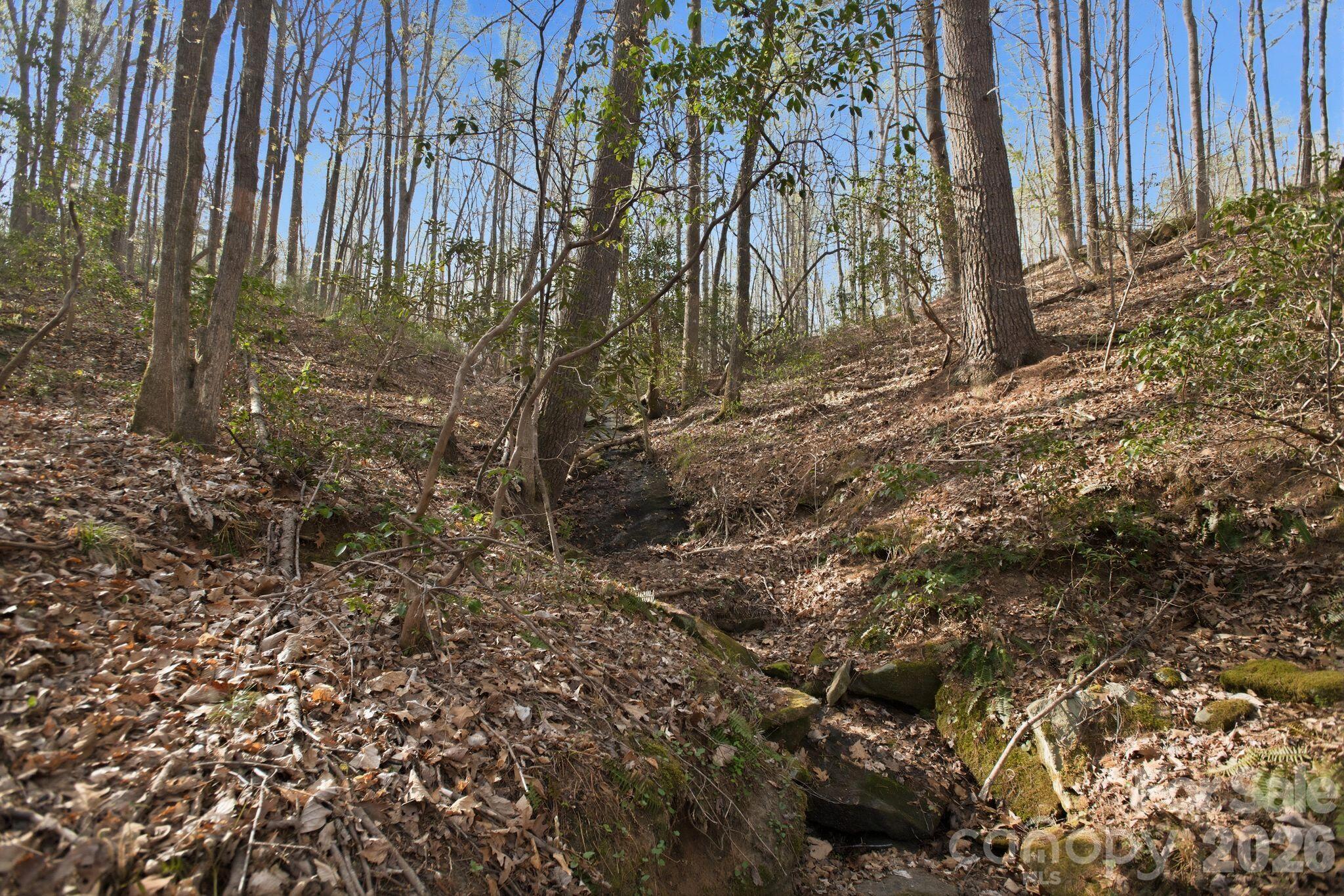 Lot 62 Dirksen Avenue Nebo NC 28655