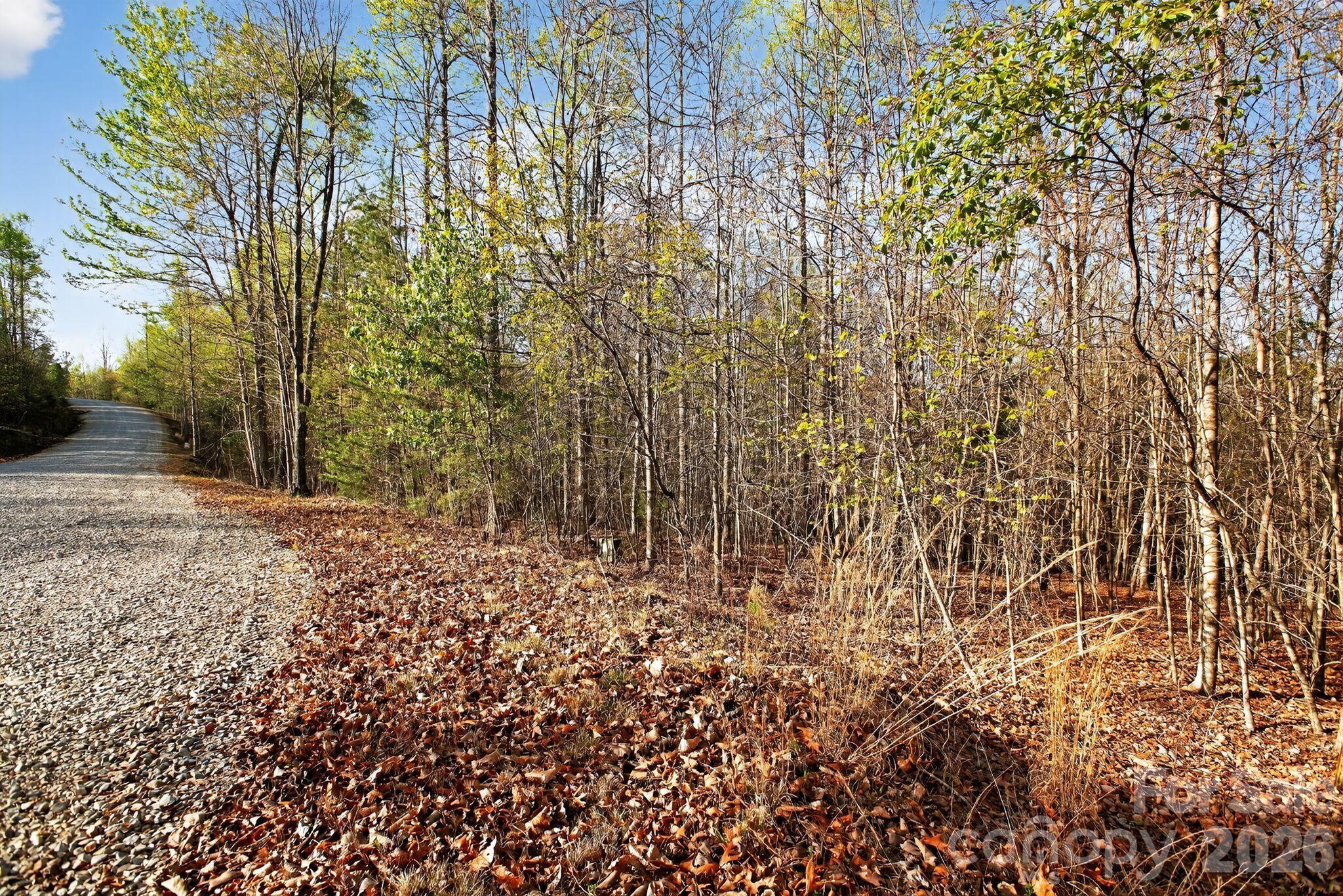 Lot 62 Dirksen Avenue Nebo NC 28655