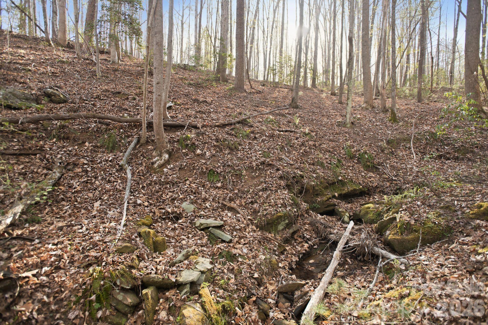 Lot 62 Dirksen Avenue Nebo NC 28655
