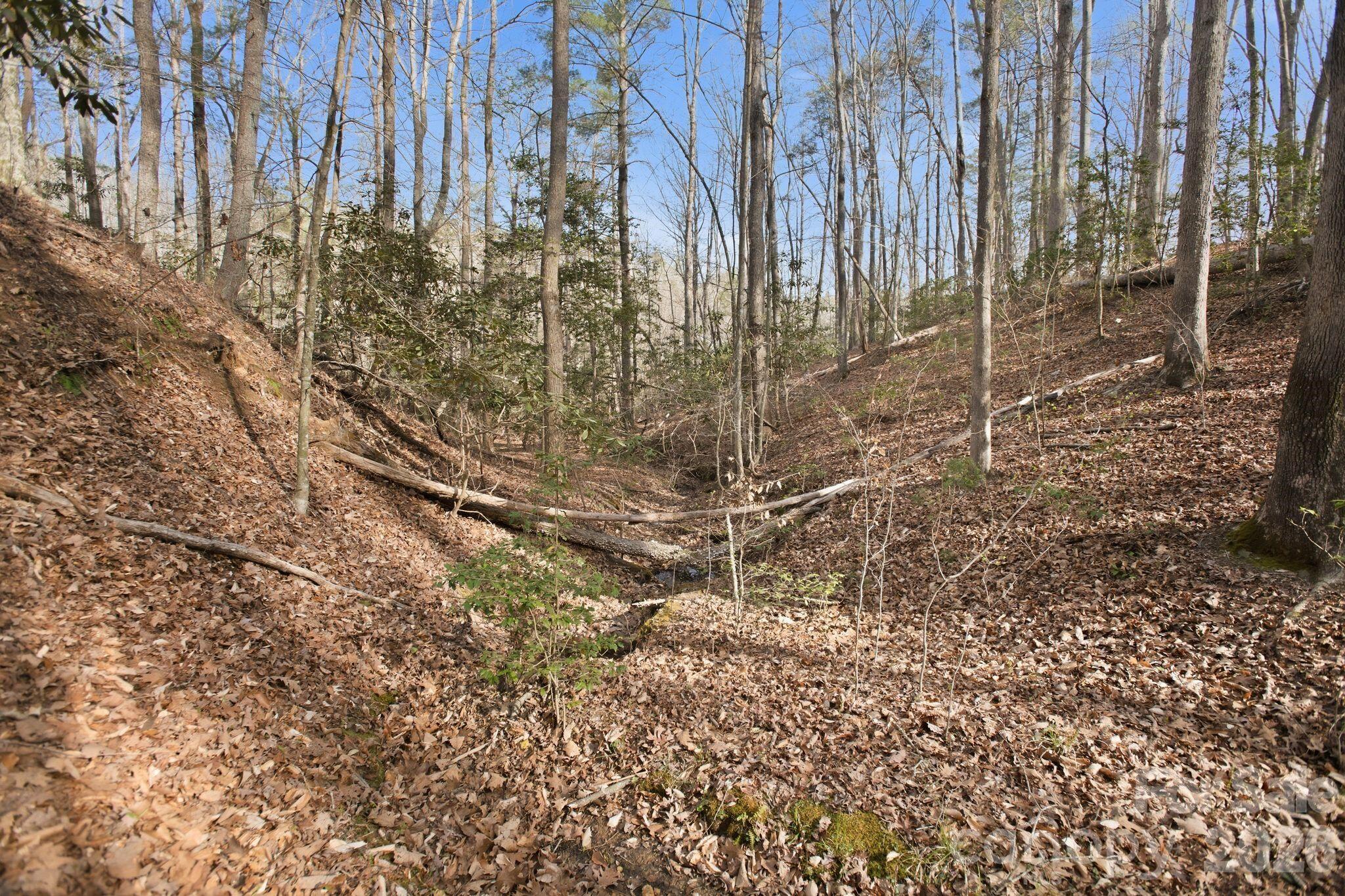 Lot 62 Dirksen Avenue Nebo NC 28655