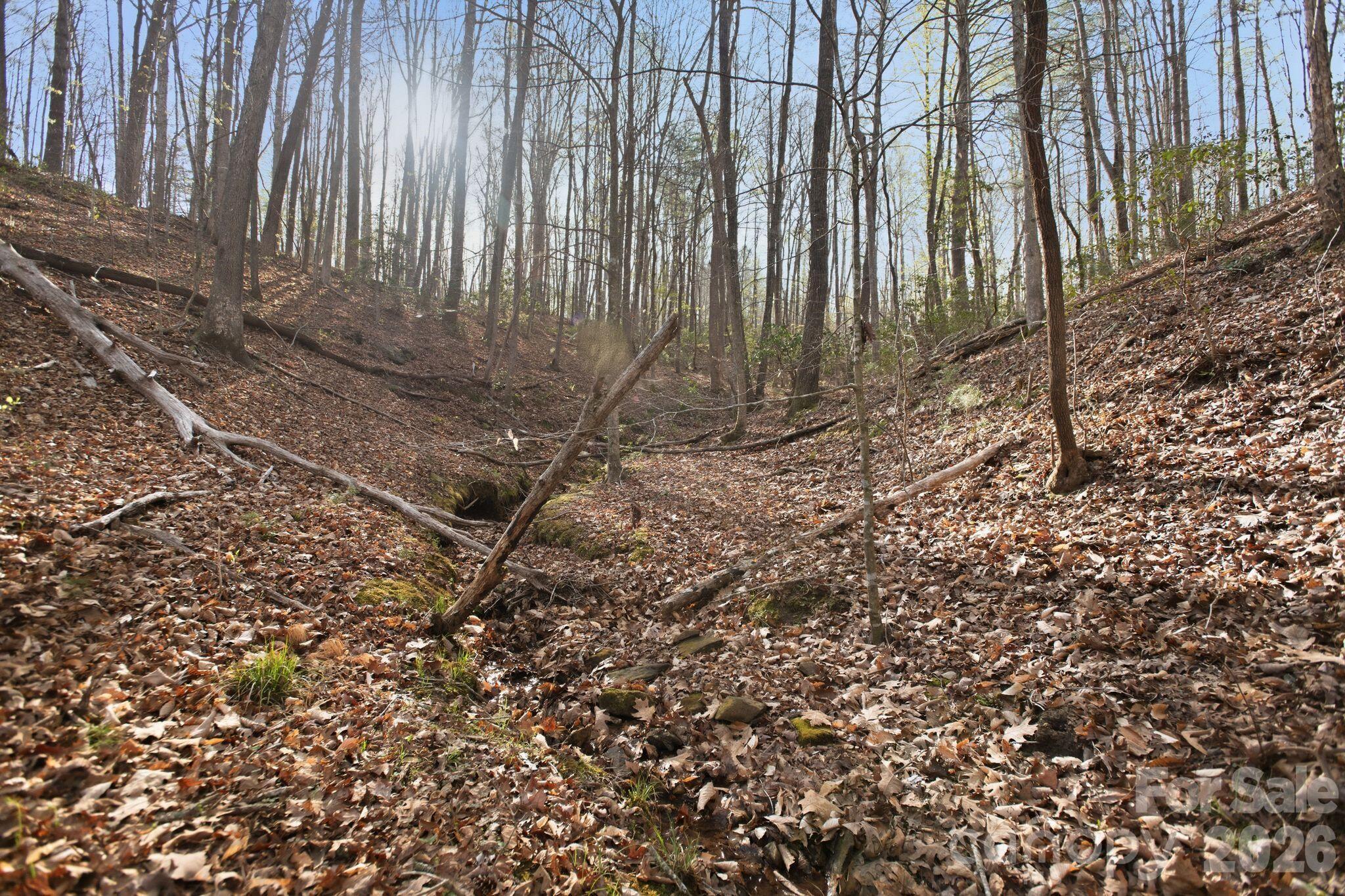 Lot 62 Dirksen Avenue Nebo NC 28655