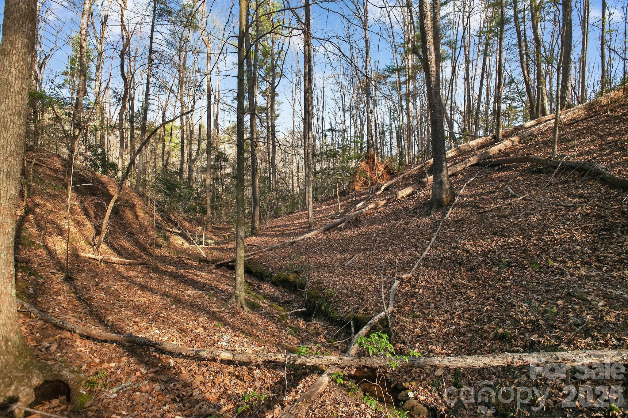Lot 62 Dirksen Avenue Nebo NC 28655
