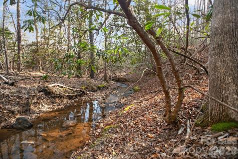 Lot 62 Dirksen Avenue Nebo NC 28655