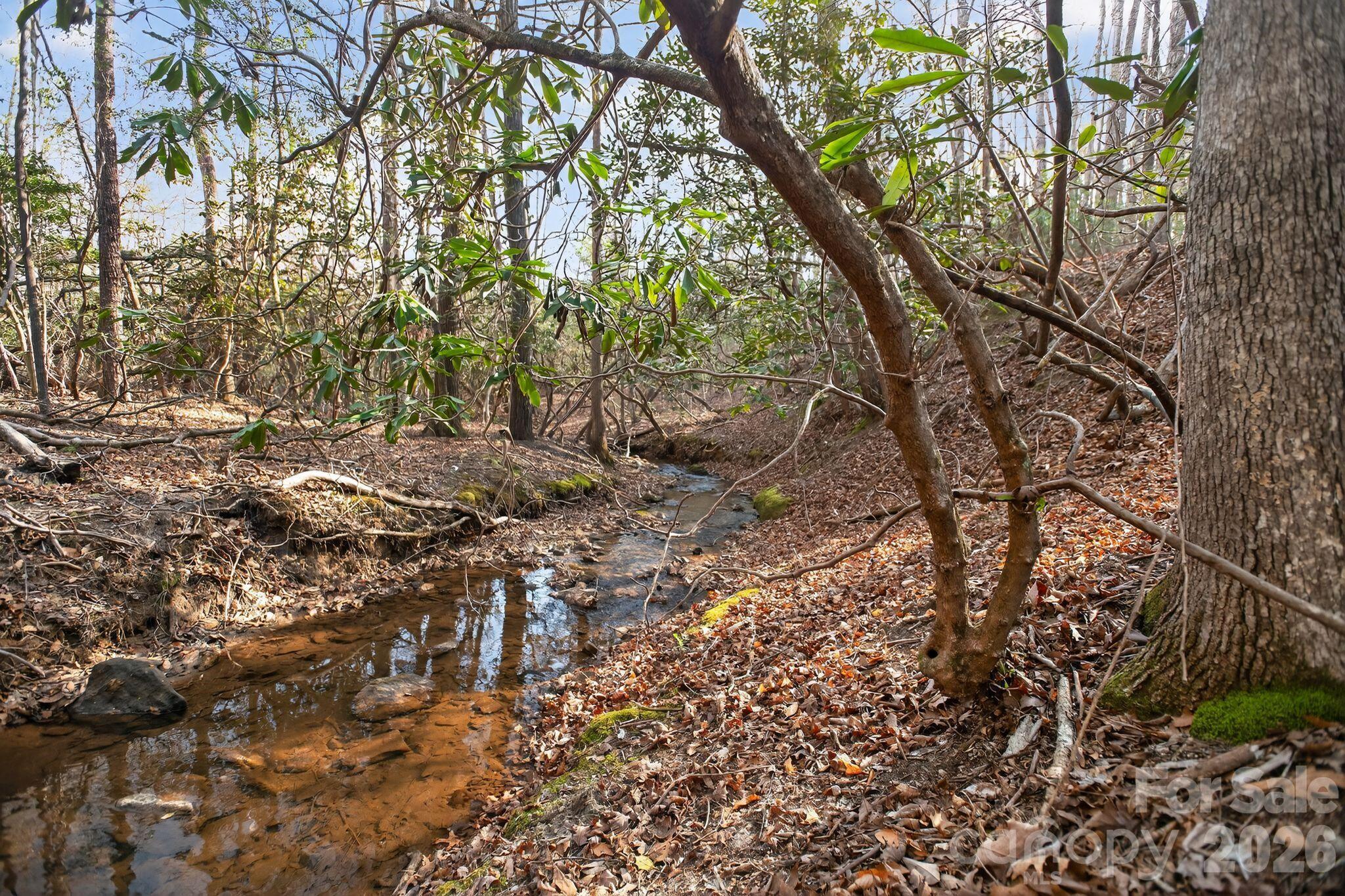 Lot 62 Dirksen Avenue Nebo NC 28655
