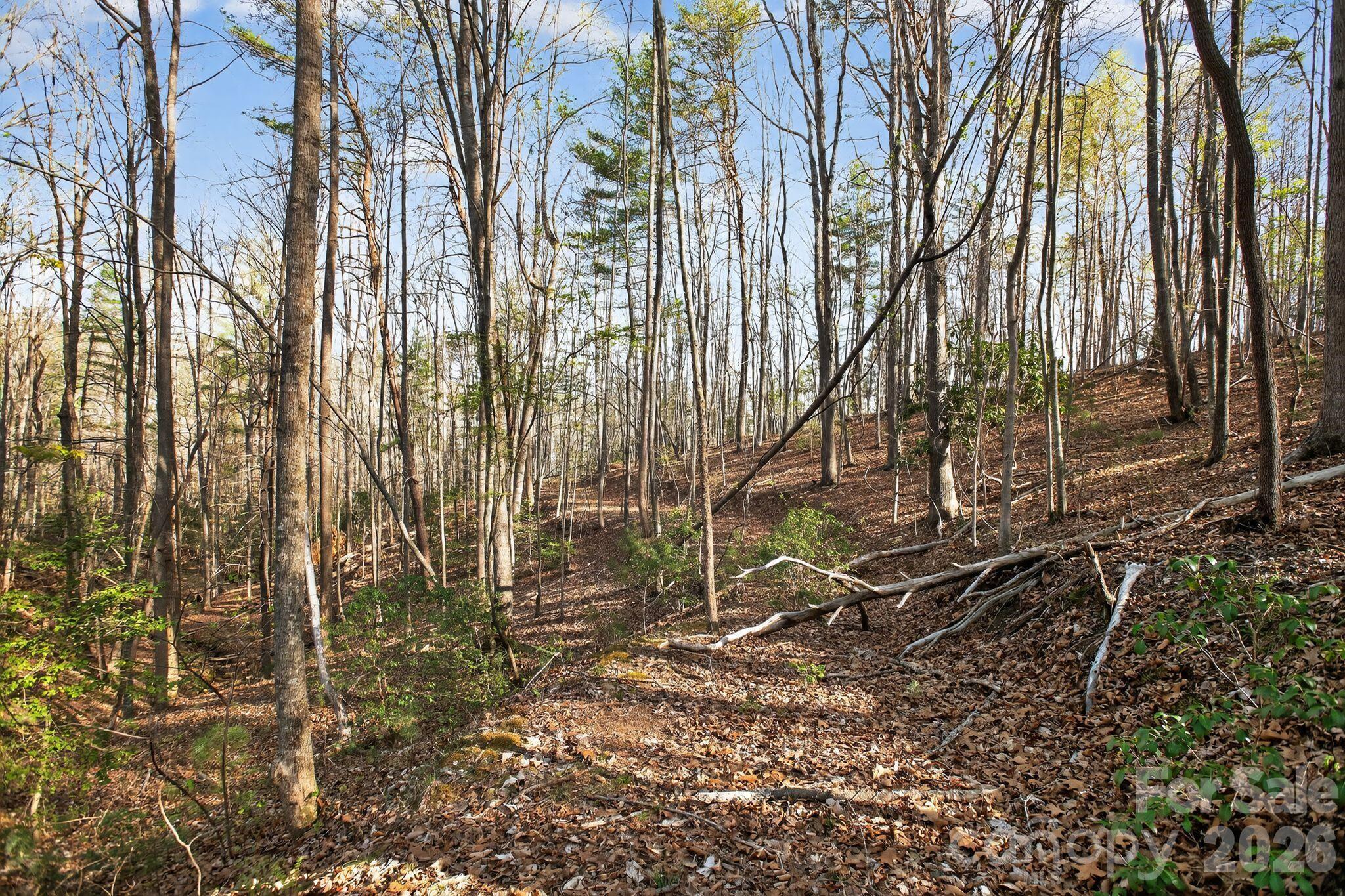 Lot 62 Dirksen Avenue Nebo NC 28655