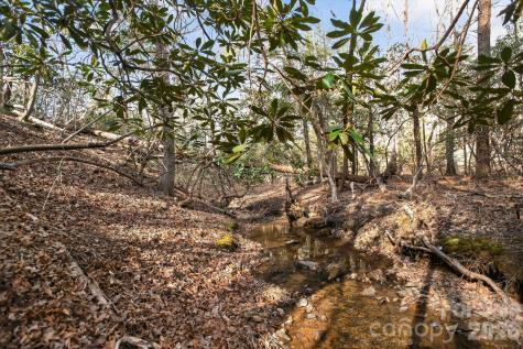 Lot 62 Dirksen Avenue Nebo NC 28655