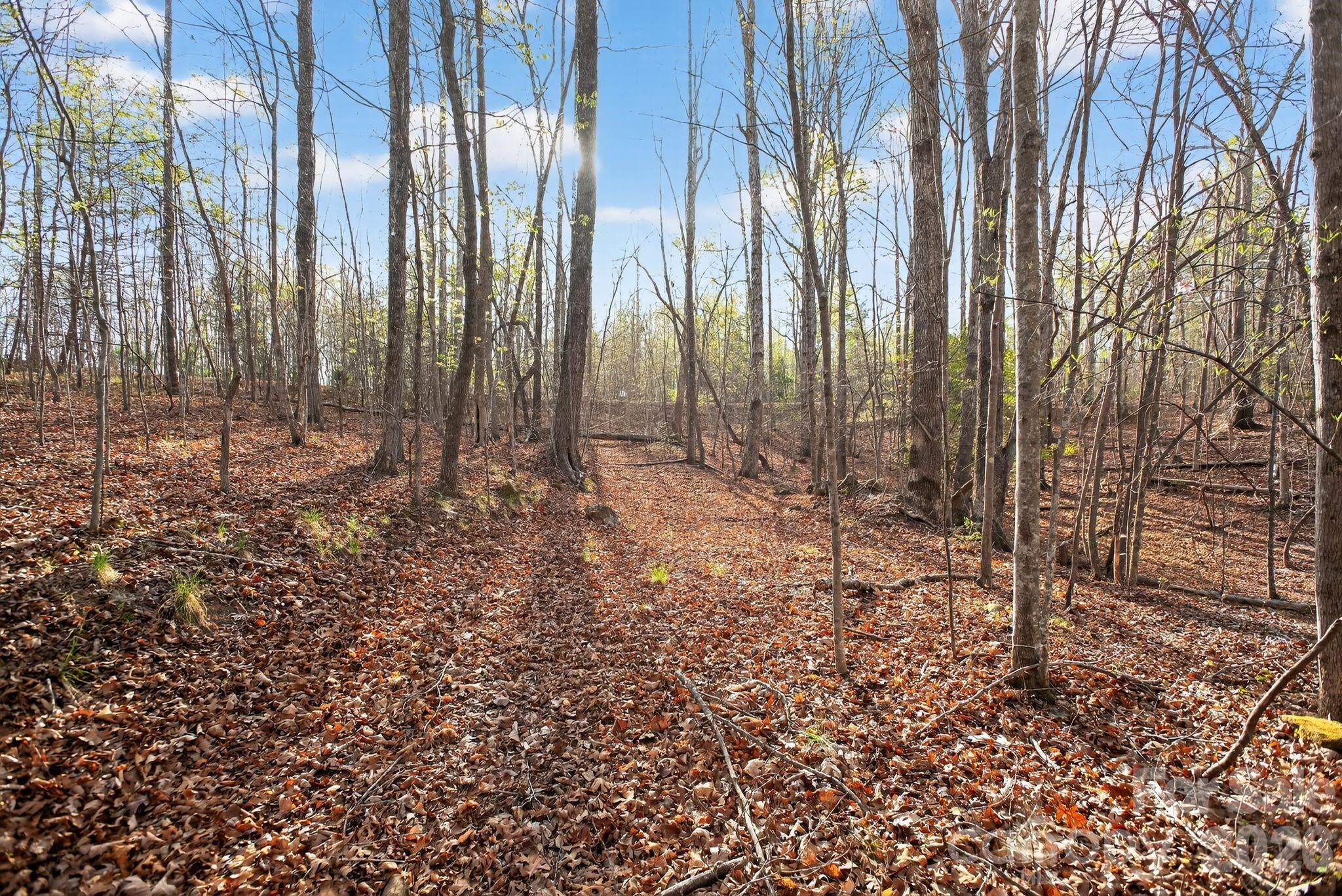 Lot 62 Dirksen Avenue Nebo NC 28655