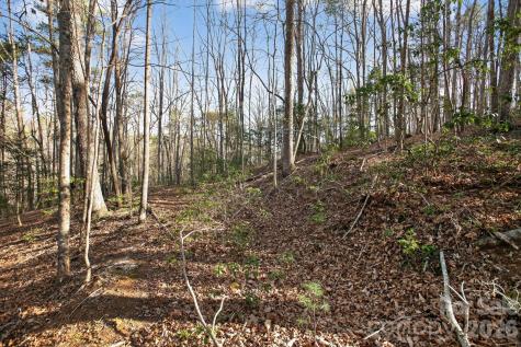 Lot 62 Dirksen Avenue Nebo NC 28655