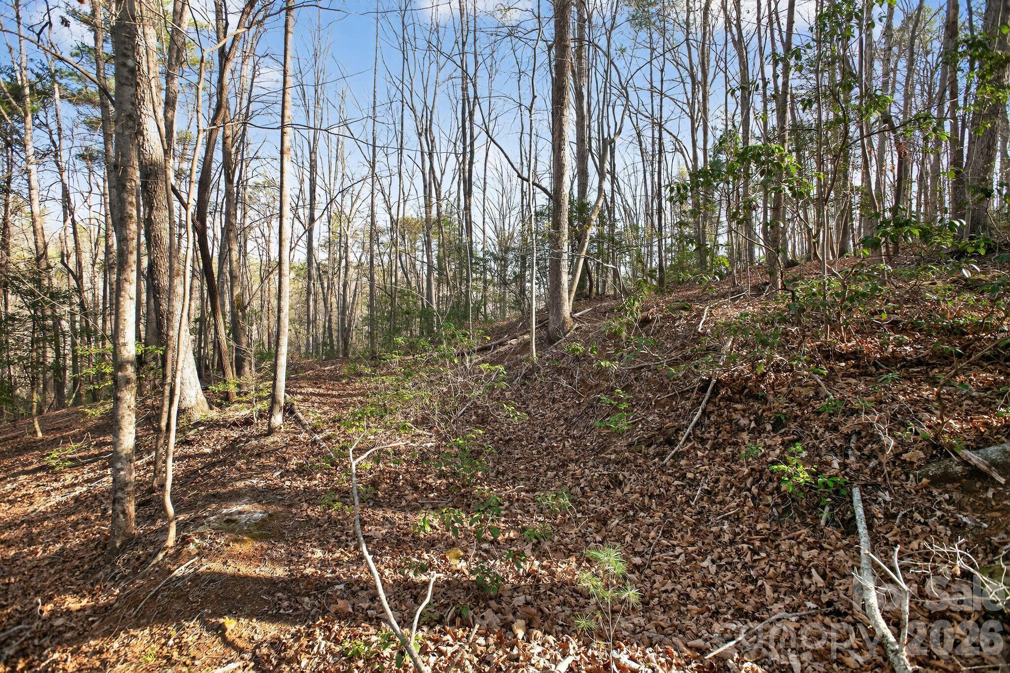 Lot 62 Dirksen Avenue Nebo NC 28655
