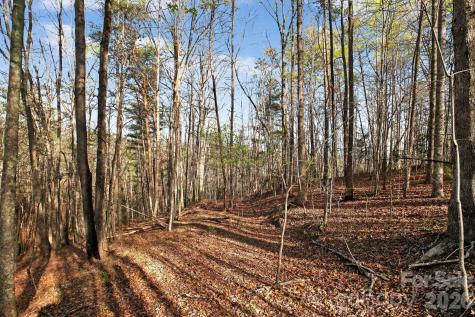 Lot 62 Dirksen Avenue Nebo NC 28655