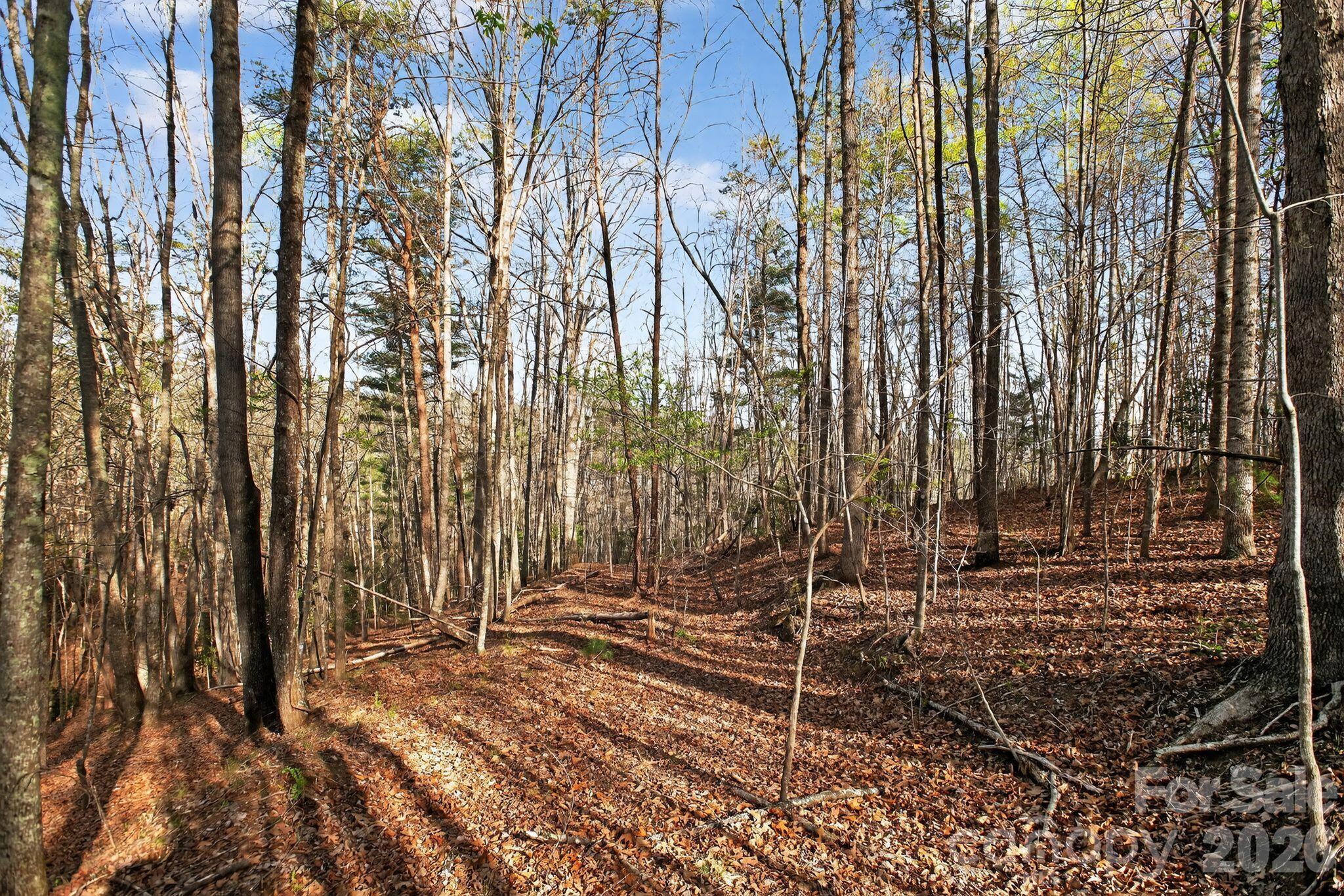 Lot 62 Dirksen Avenue Nebo NC 28655
