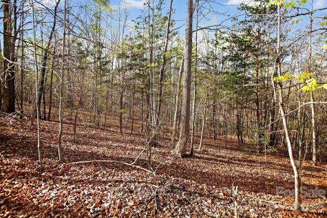 Lot 62 Dirksen Avenue Nebo NC 28655