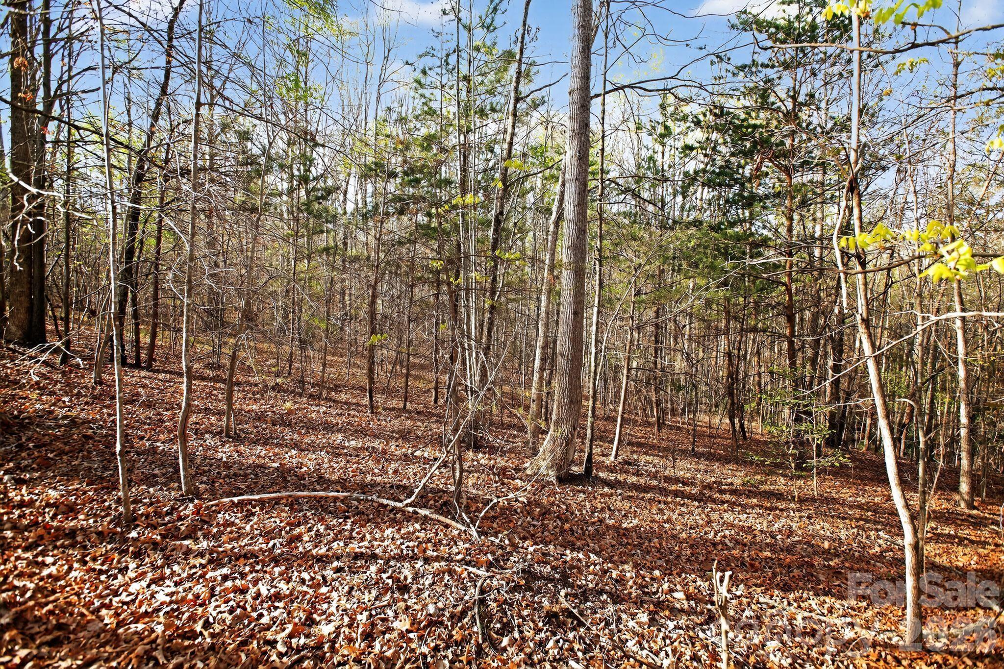 Lot 62 Dirksen Avenue Nebo NC 28655