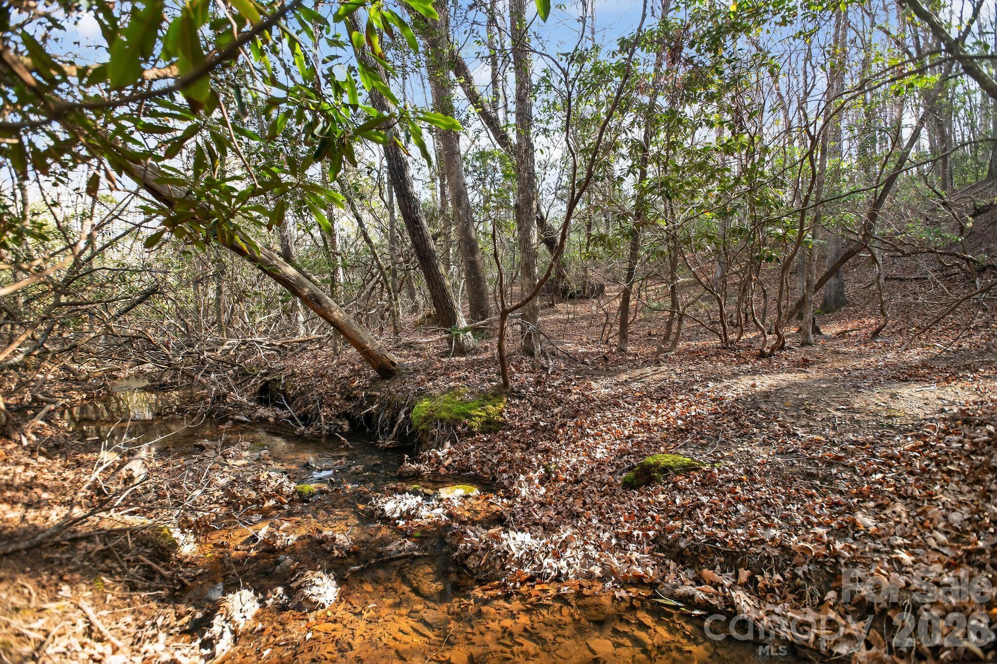Lot 62 Dirksen Avenue Nebo NC 28655