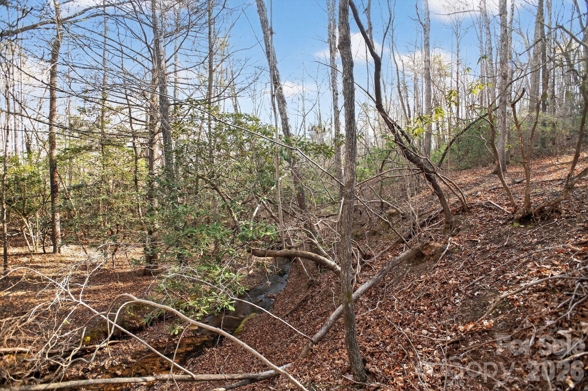 Lot 62 Dirksen Avenue Nebo NC 28655