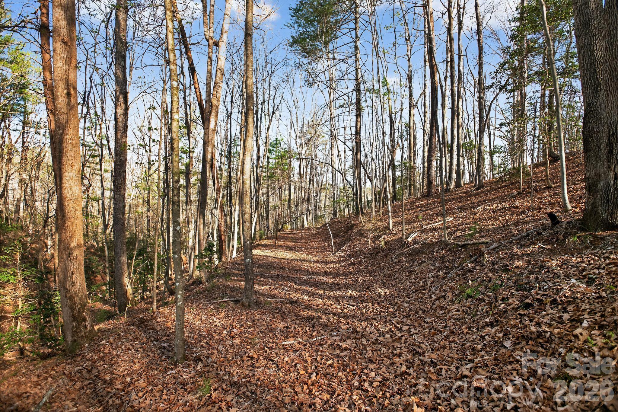 Lot 62 Dirksen Avenue Nebo NC 28655