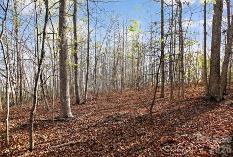Lot 62 Dirksen Avenue Nebo NC 28655