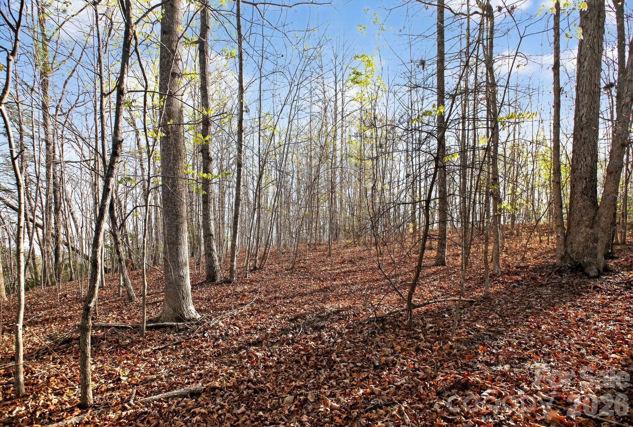 Lot 62 Dirksen Avenue Nebo NC 28655
