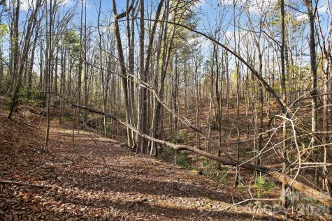 Lot 62 Dirksen Avenue Nebo NC 28655