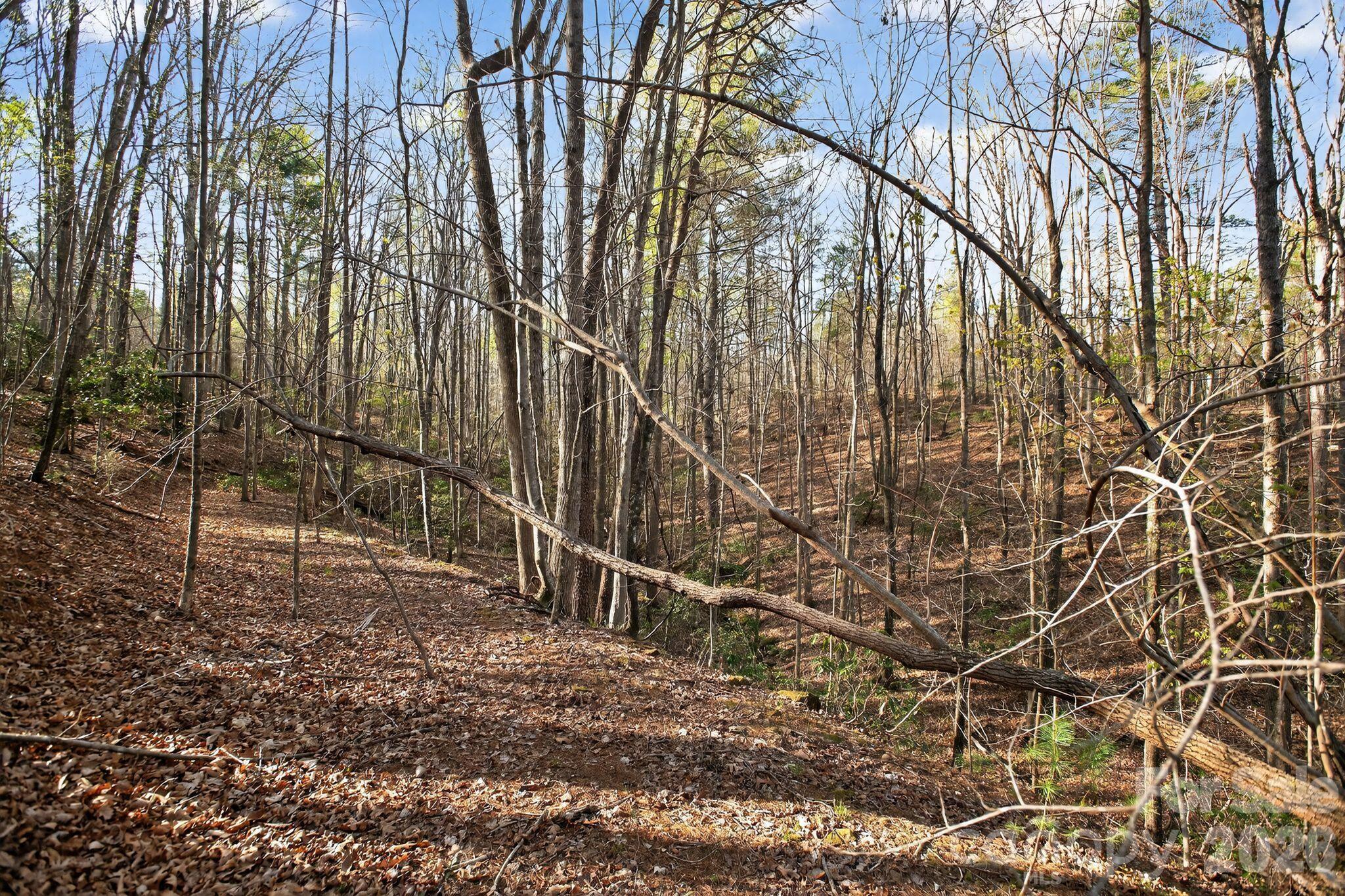 Lot 62 Dirksen Avenue Nebo NC 28655