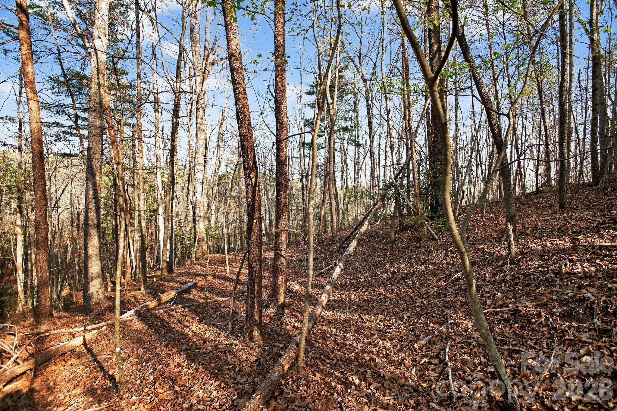 Lot 62 Dirksen Avenue Nebo NC 28655