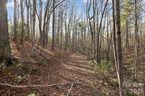 Lot 62 Dirksen Avenue Nebo NC 28655