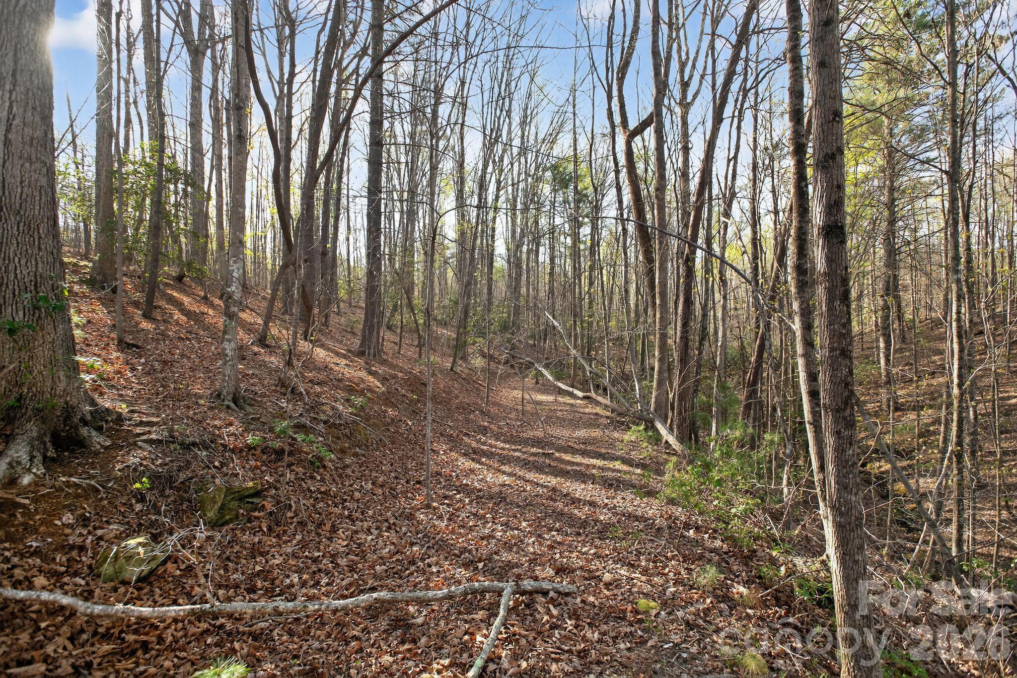 Lot 62 Dirksen Avenue Nebo NC 28655