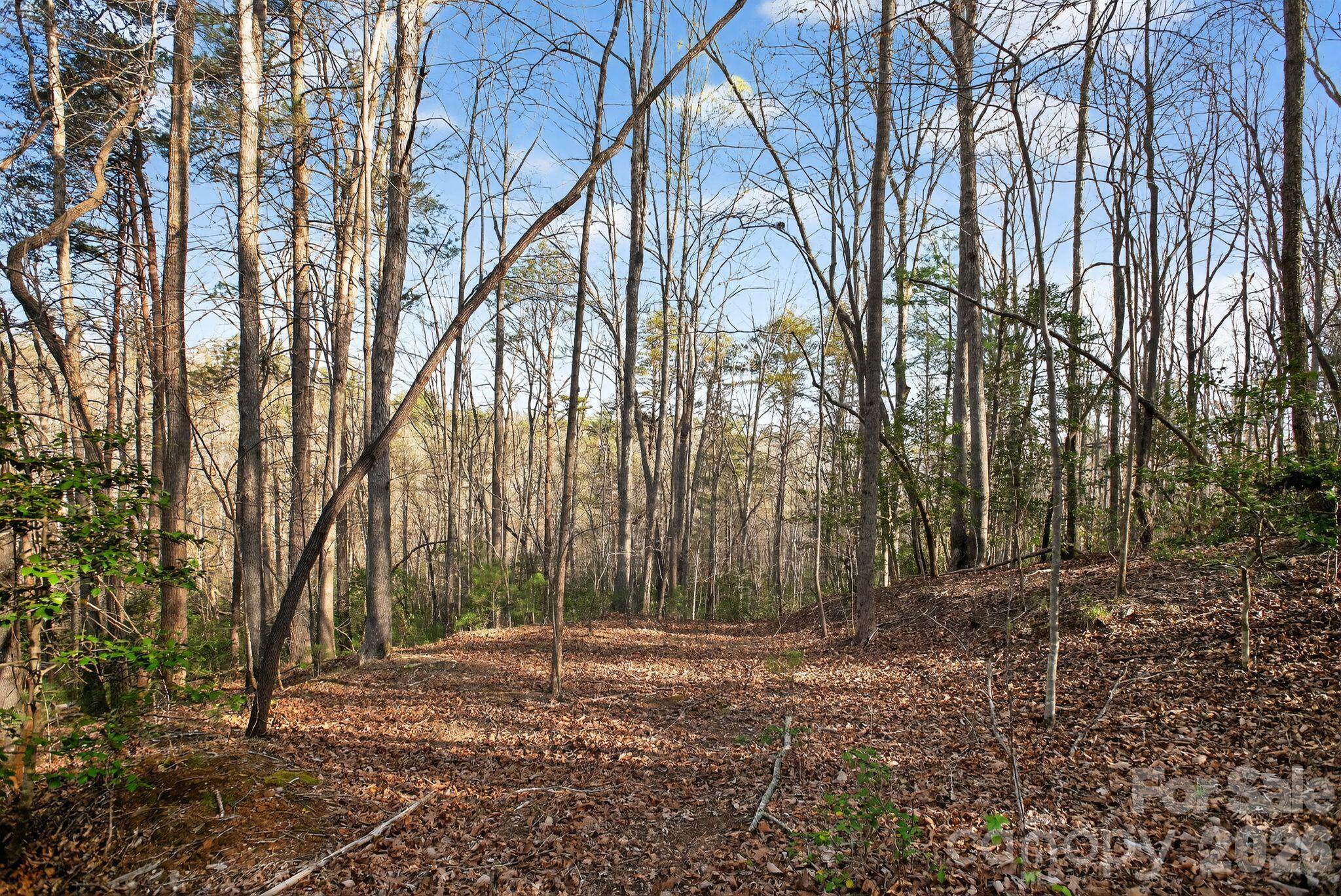 Lot 62 Dirksen Avenue Nebo NC 28655