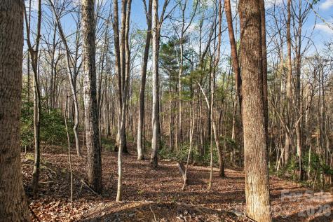 Lot 62 Dirksen Avenue Nebo NC 28655