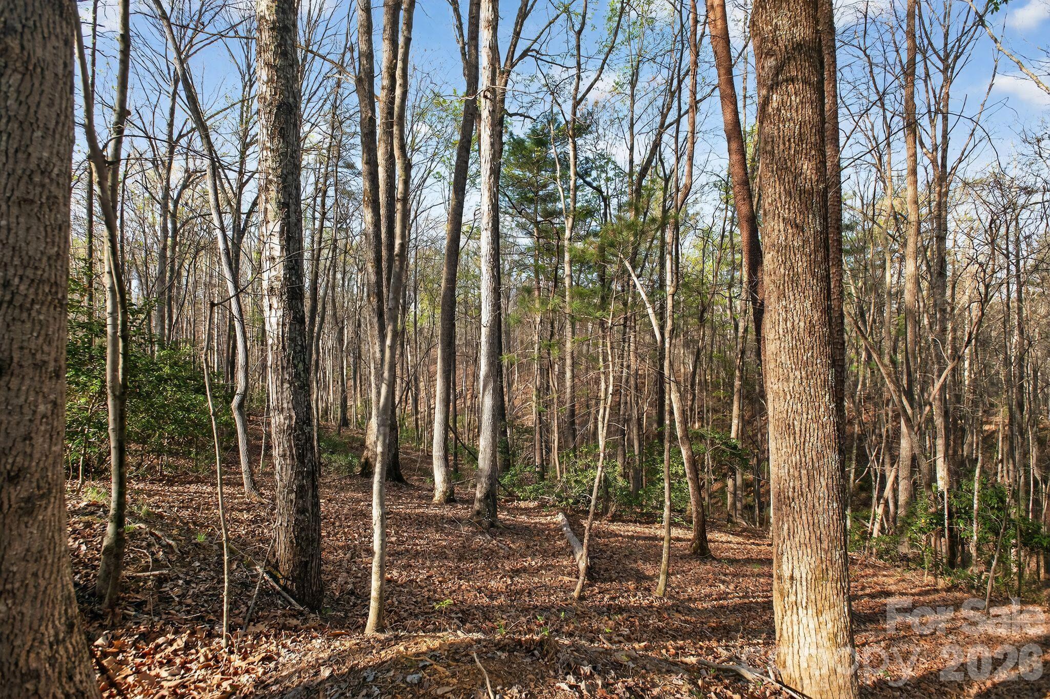Lot 62 Dirksen Avenue Nebo NC 28655
