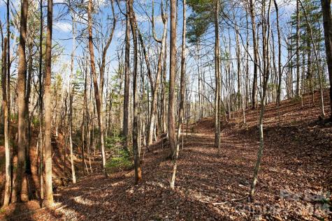 Lot 62 Dirksen Avenue Nebo NC 28655