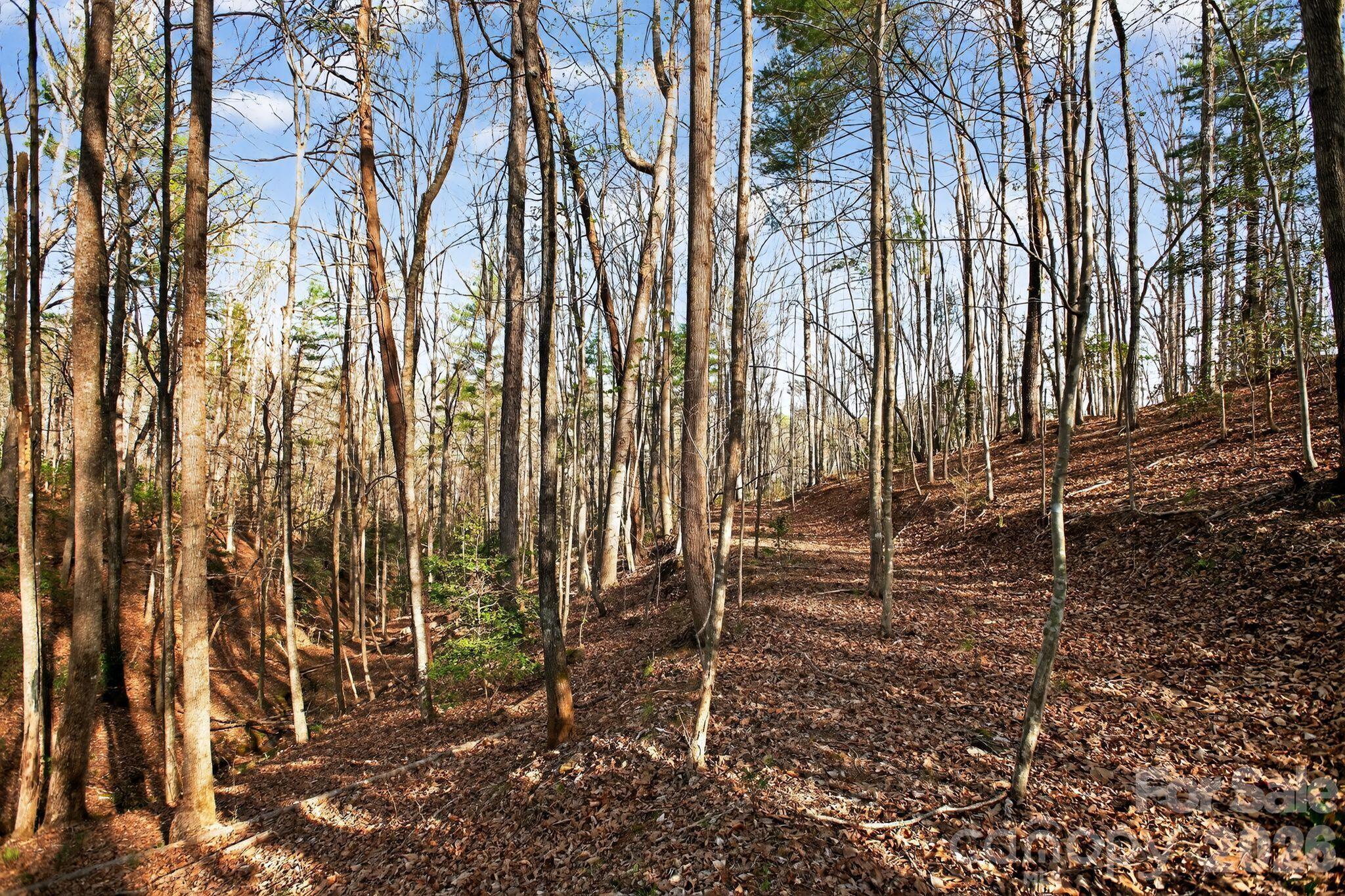 Lot 62 Dirksen Avenue Nebo NC 28655