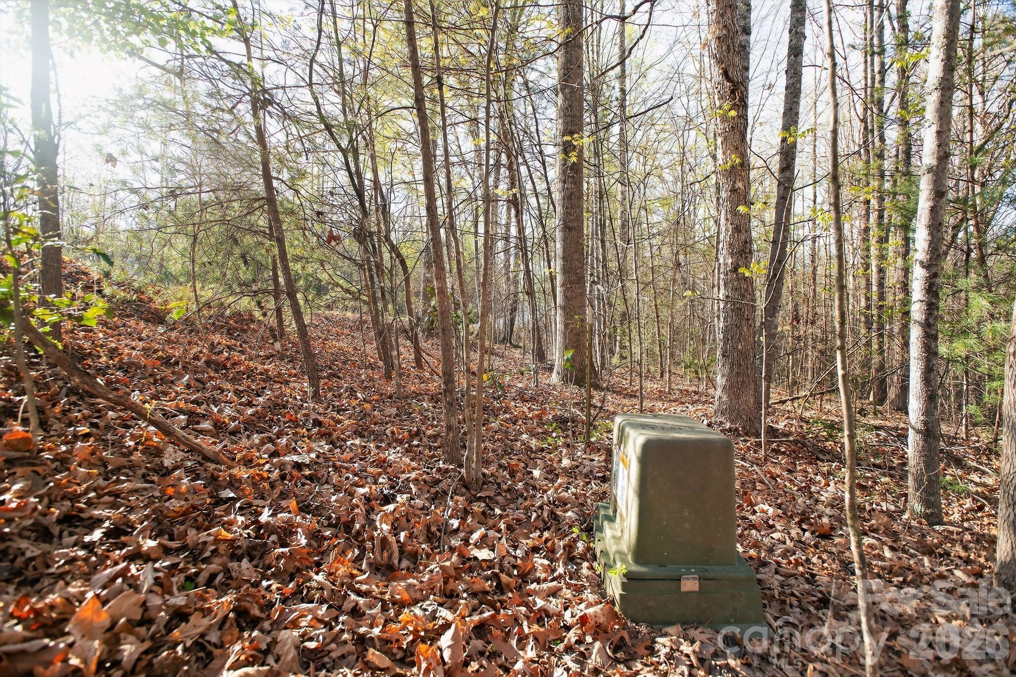 Lot 62 Dirksen Avenue Nebo NC 28655
