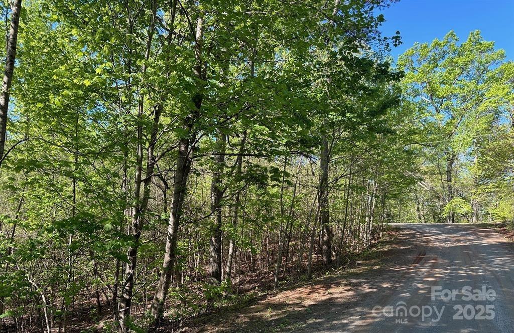 V/l #10 Deer Crossing Drive Marion NC 28752