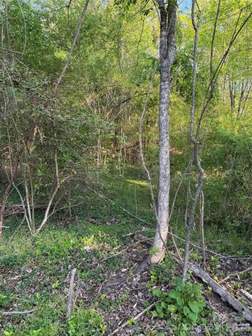 00 Cashiers Valley Road Brevard NC 28712