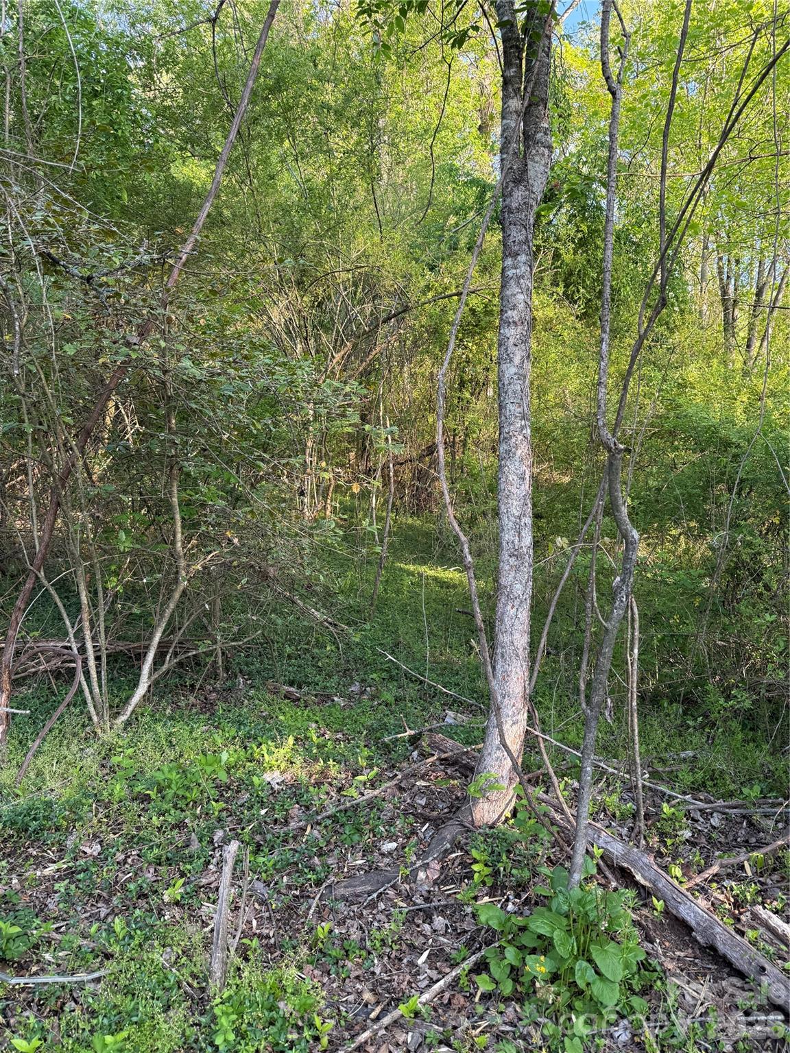 00 Cashiers Valley Road Brevard NC 28712