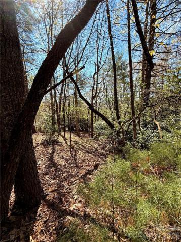 400 Emerald Hills Drive Penrose NC 28766