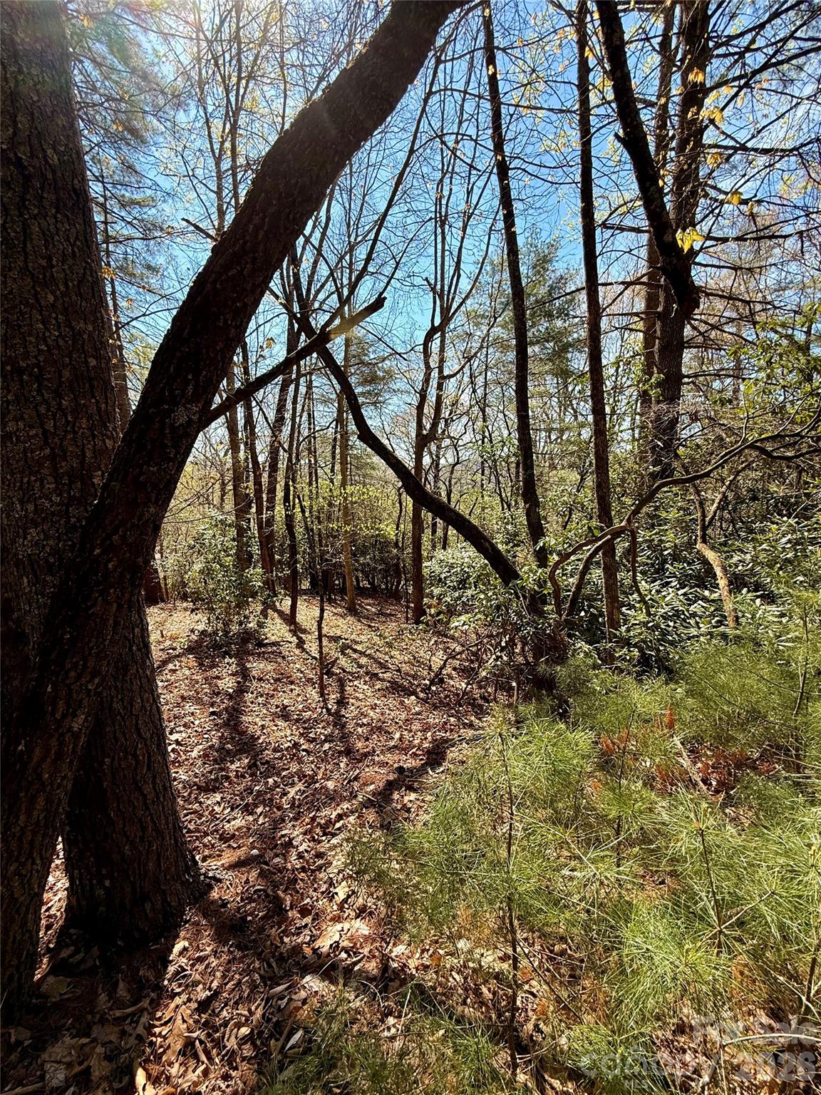 400 Emerald Hills Drive Penrose NC 28766