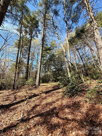 400 Emerald Hills Drive Penrose NC 28766