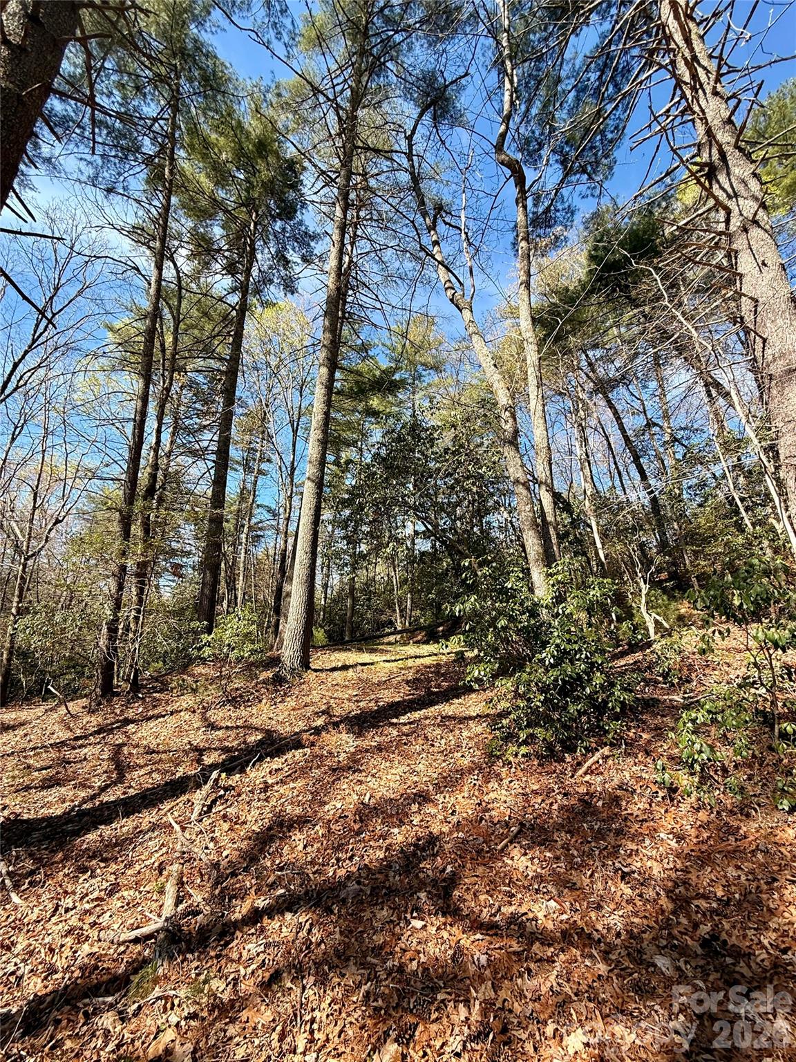 400 Emerald Hills Drive Penrose NC 28766