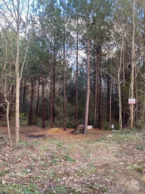 0 Dudley Church Road Pageland SC 29728