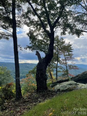 E11 Marble Heights Trail Hendersonville NC 28791