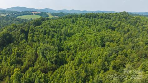 0 Old Vashti Road Taylorsville NC 28681